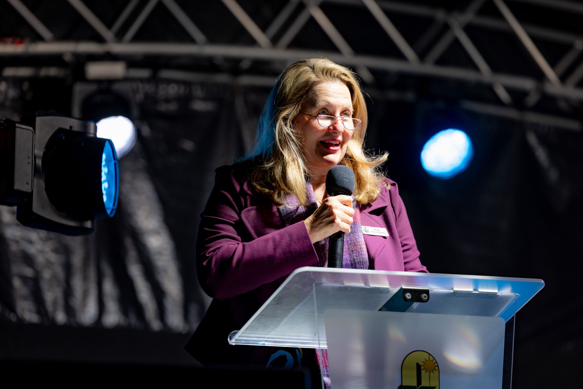 Ipswich Mayor, Teresa Harding, giving speech at SMC celebration evening.